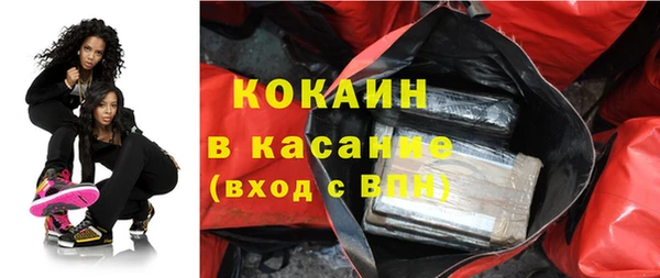 гидра Елабуга