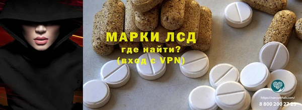 гидра Елабуга