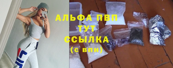 шишки Елизово
