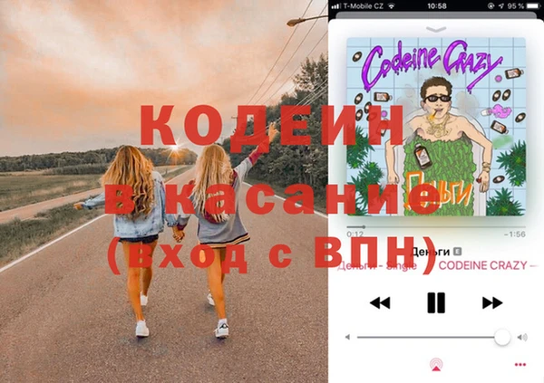 шишки Елизово