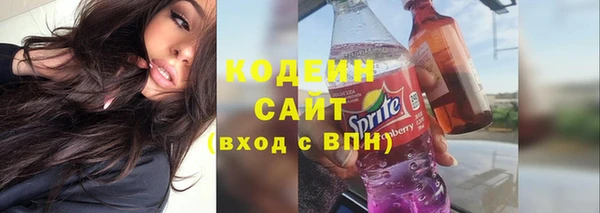2c-b Ельня