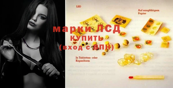 шишки Елизово
