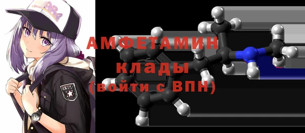 гидра Елабуга