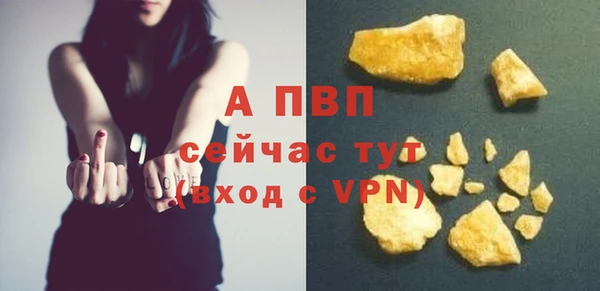 шишки Елизово