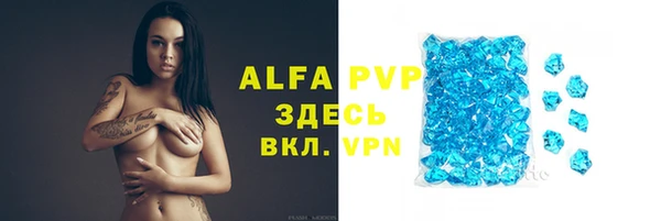 гидра Елабуга