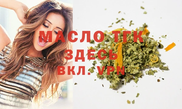 2c-b Ельня