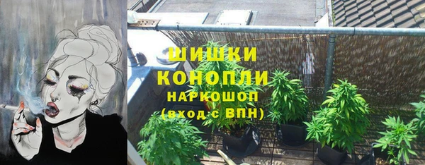 шишки Елизово
