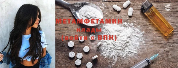 шишки Елизово