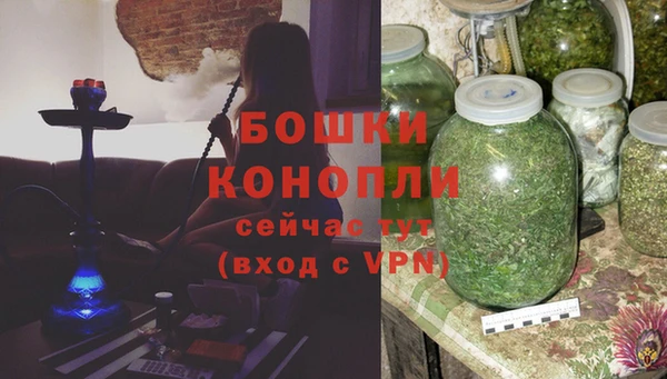 гидра Елабуга