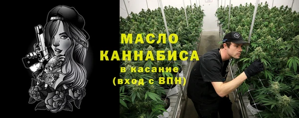 гидра Елабуга