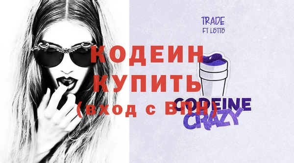 2c-b Ельня