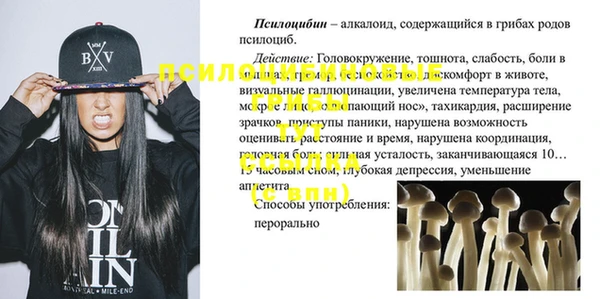 2c-b Ельня