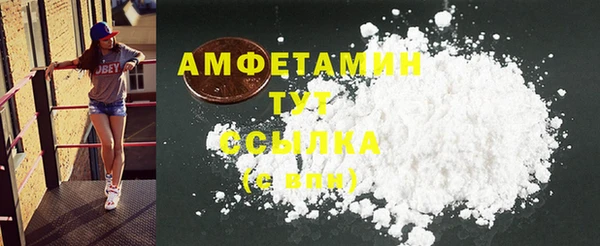 гидра Елабуга