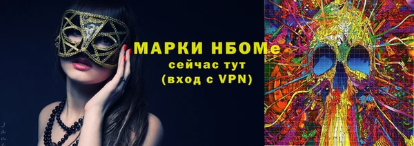 гидра Елабуга