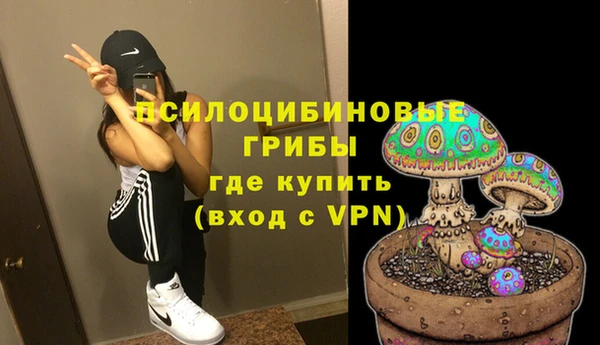 2c-b Ельня