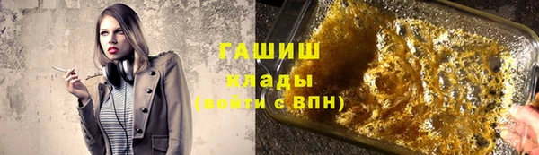 2c-b Ельня