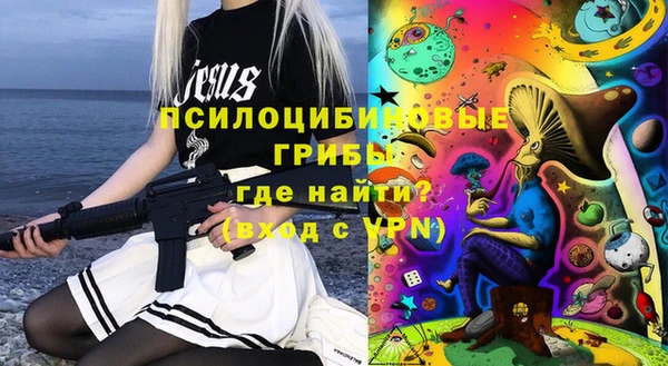 шишки Елизово