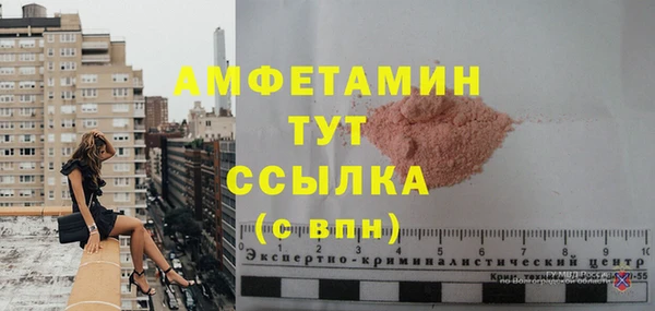 гидра Елабуга