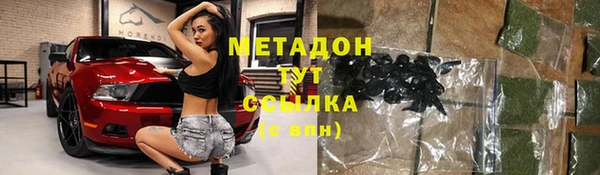 шишки Елизово
