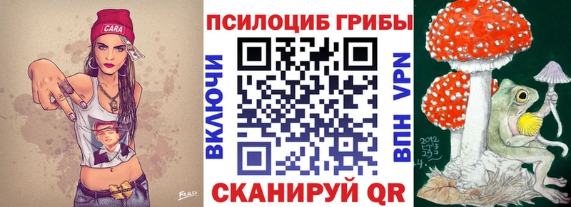 Псилоцибиновые грибы Cubensis  Купить  Тетюши 
