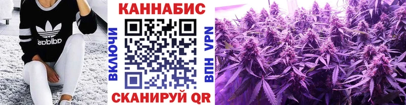 Бошки марихуана THC 21%  Купить где  Тетюши 